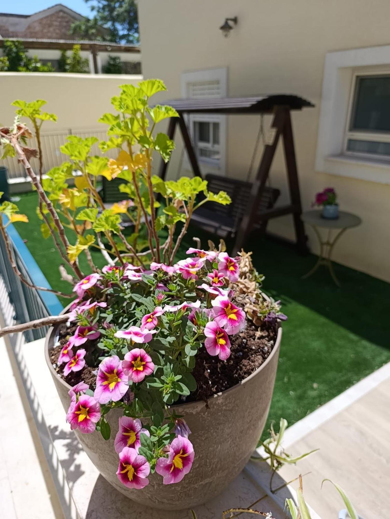 Villa 49 Boutique Zikhron Ya'akov Habitación foto