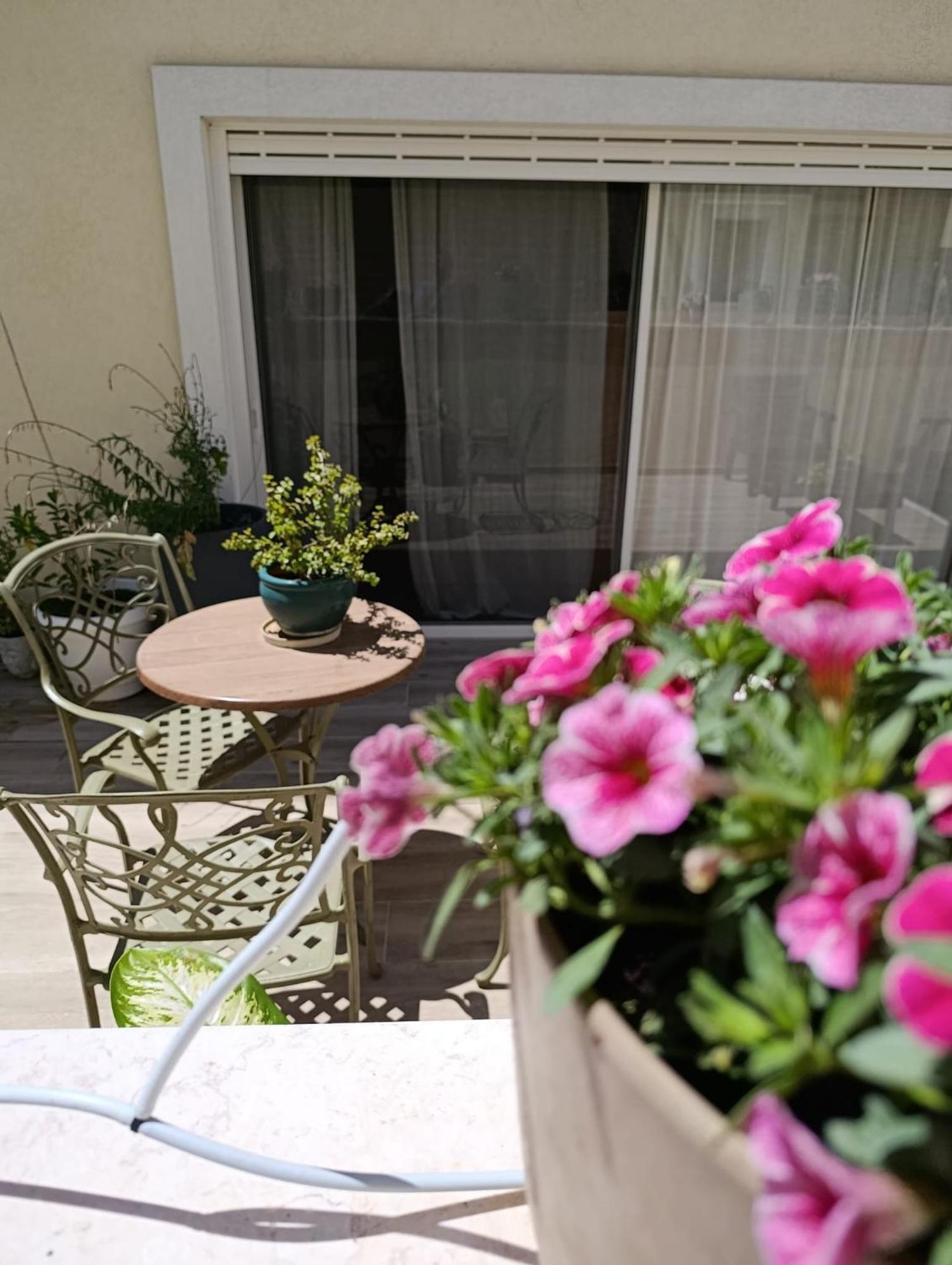 Villa 49 Boutique Zikhron Ya'akov Habitación foto
